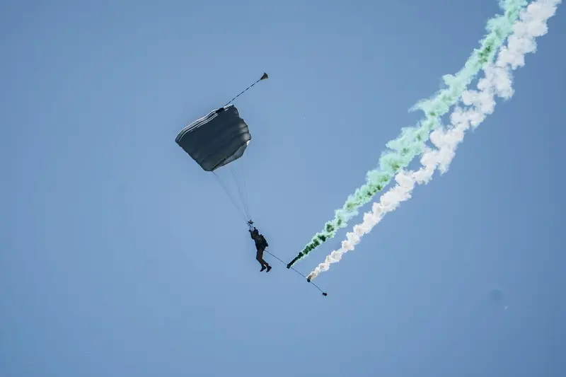 Speciální partnerský stát