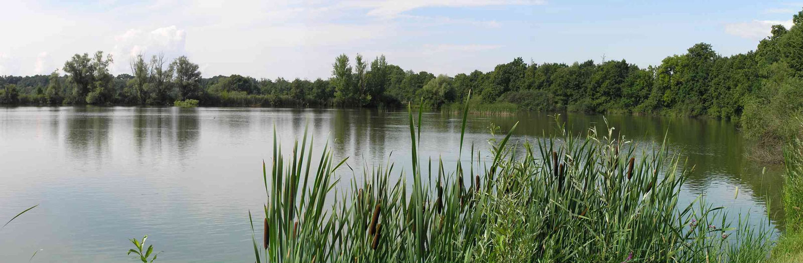 Poodří