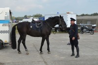 Static displays