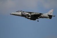 British Harrier Display Team